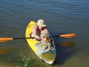 paddling woman with dog